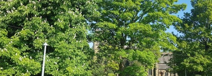 Church View