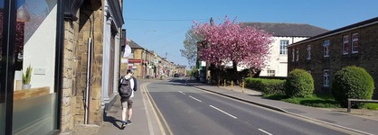 The Old Albion