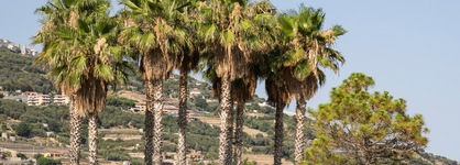 Marina Degli Aregai