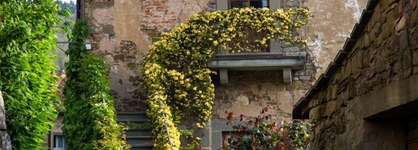 Castello Di Volpaia
