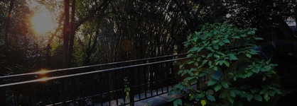 Lost Trail Bed And Breakfast