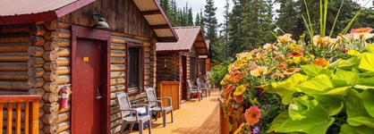 Denali Crow's Nest Cabins