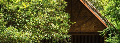 Our Jungle House