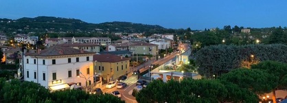 Solho