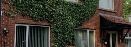 Ashfield Bed And Breakfast