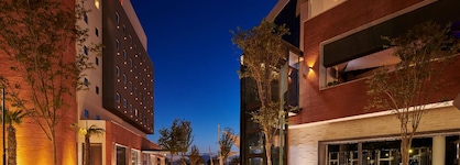 Ibis Torreon