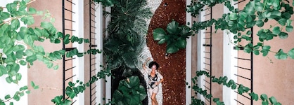 Zendero Tulum