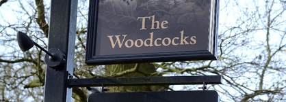 Woodcocks