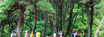 Skybay Hotel Gyeongpo