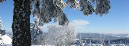 Elzland Hotel Pfauen Wellness, Spa & Vitalis Hotel