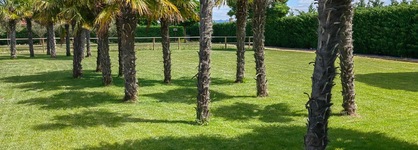 Natura Resort