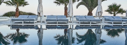 Petri Suites