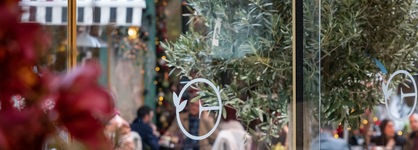Elia Ermou Athens Hotel
