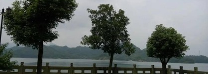 Wangdao Holiday Inn In Qiandao Lake