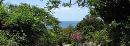 Buttonwood Reserve 1D