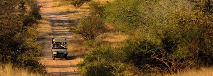 Rhino Walking Safaris