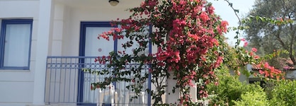 Belcekum Beach Hotel