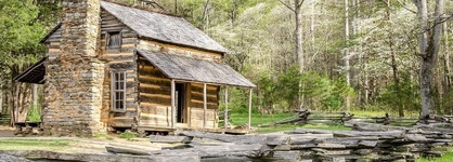 Lazy Cub Lodge