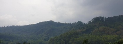 Villa Bukit Cemara