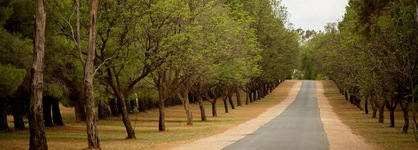 Renmark Country Club