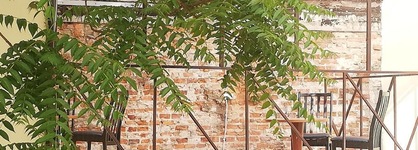 Lorf Hostel And Apartments