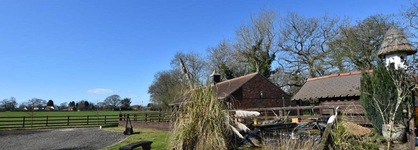 Oak Tree Stables