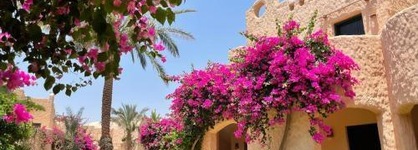 TH Blue Lagoon - Marsa Alam