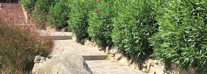 Baia De Bahas Apartments & Resort