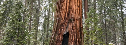 Hampton Inn Oakhurst-Yosemite