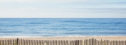 Marram