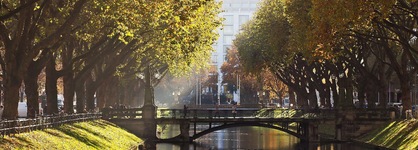 The Niu Hub