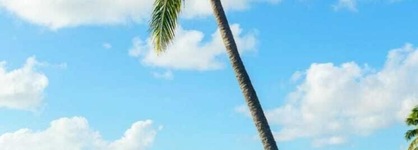 Hcm - Hotel Corais De Manaíra