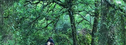 The Nest By Cooking And Nature