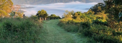 The Ridge At Maleny