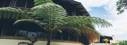 Koro Sun Resort And Rainforest Spa
