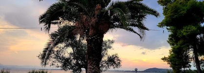 O Paradise Beach Resort & Spa