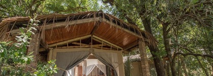 Fig Tree Camp - Maasai Mara
