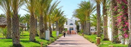 Palm Azur