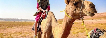 Luxury Desert Camp Oman