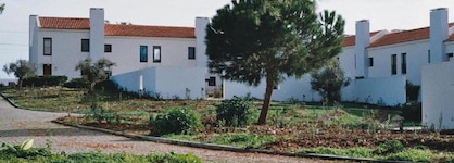 Calipo