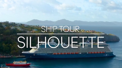 Foto Celebrity Silhouette