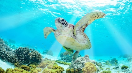 Ilhas Galápagos