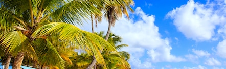 Bávaro