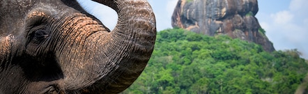 Katunayake