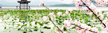 Hangzhou