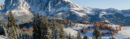 Alpe di Siusi