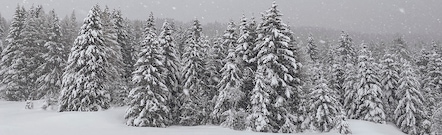 Folgaria Trentino
