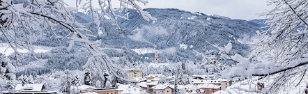 Cavalese Trentino