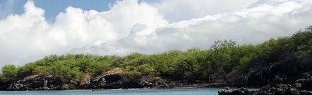 Puako