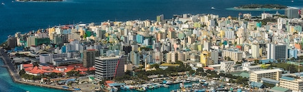Male Cidade